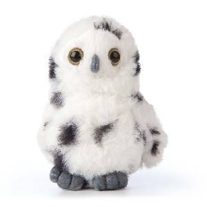 Snowy Owl- SMOL